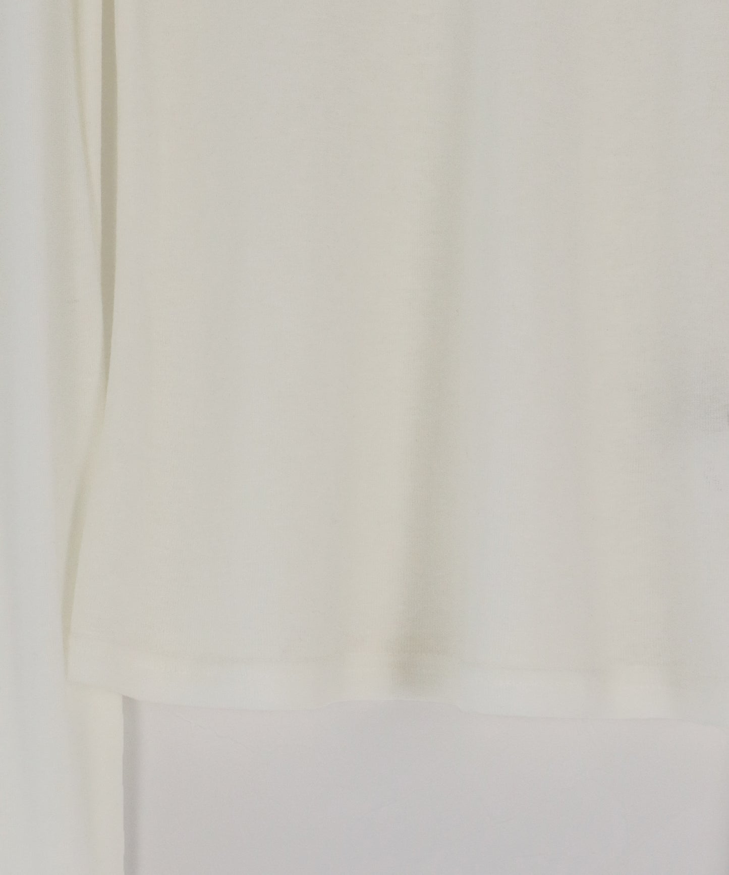 ロングスリーブシアーカットソー【ネコポス】