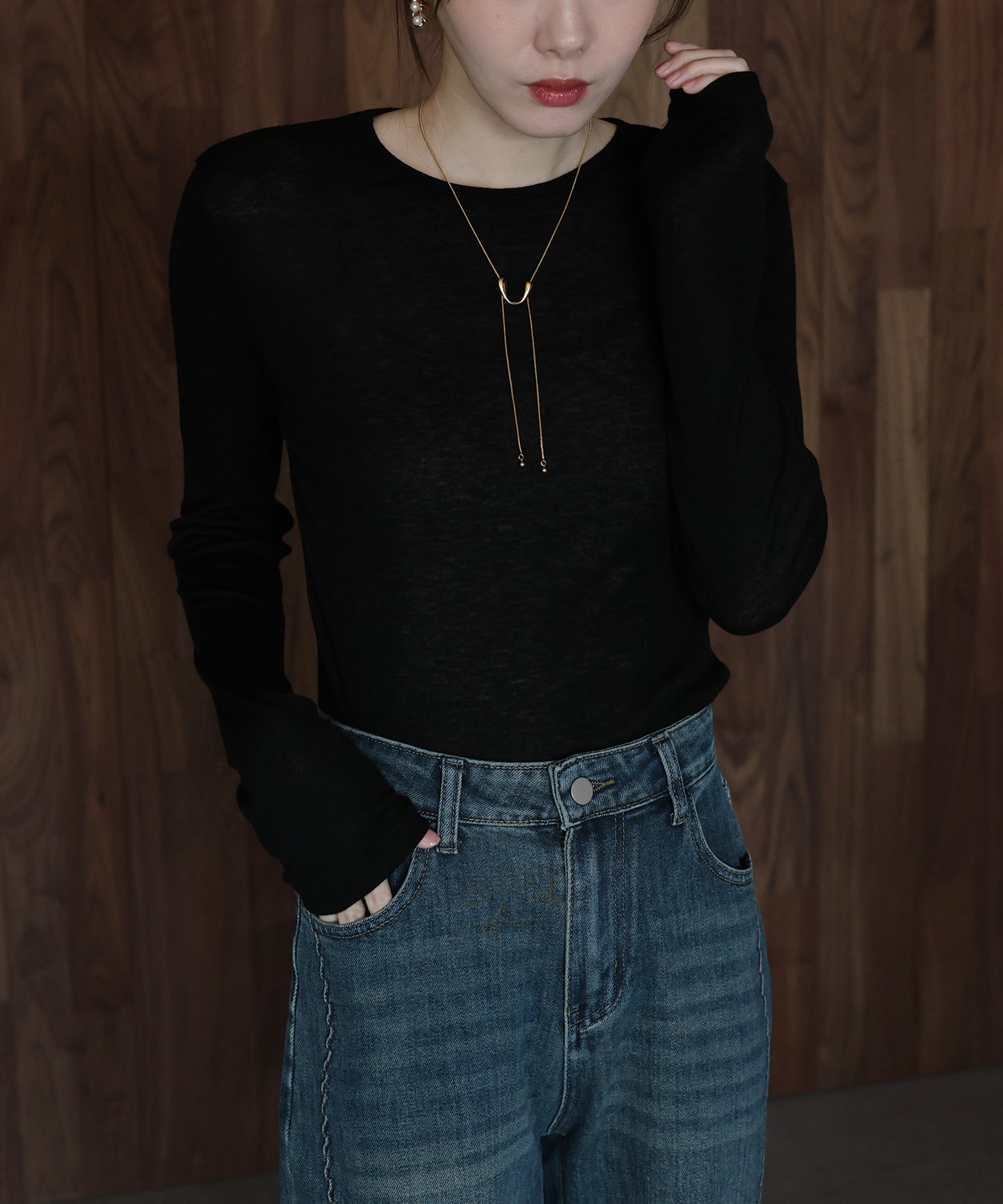 ロングスリーブシアーカットソー【ネコポス】