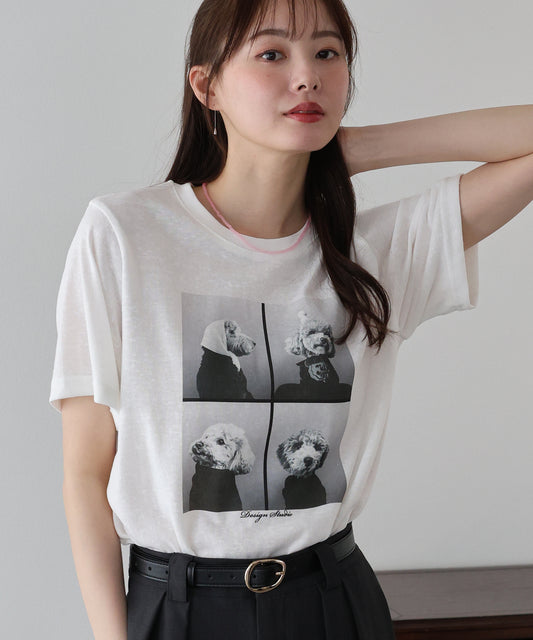 【早割5％OFF】DOGフォトプリント半袖Ｔシャツ【ネコポス】