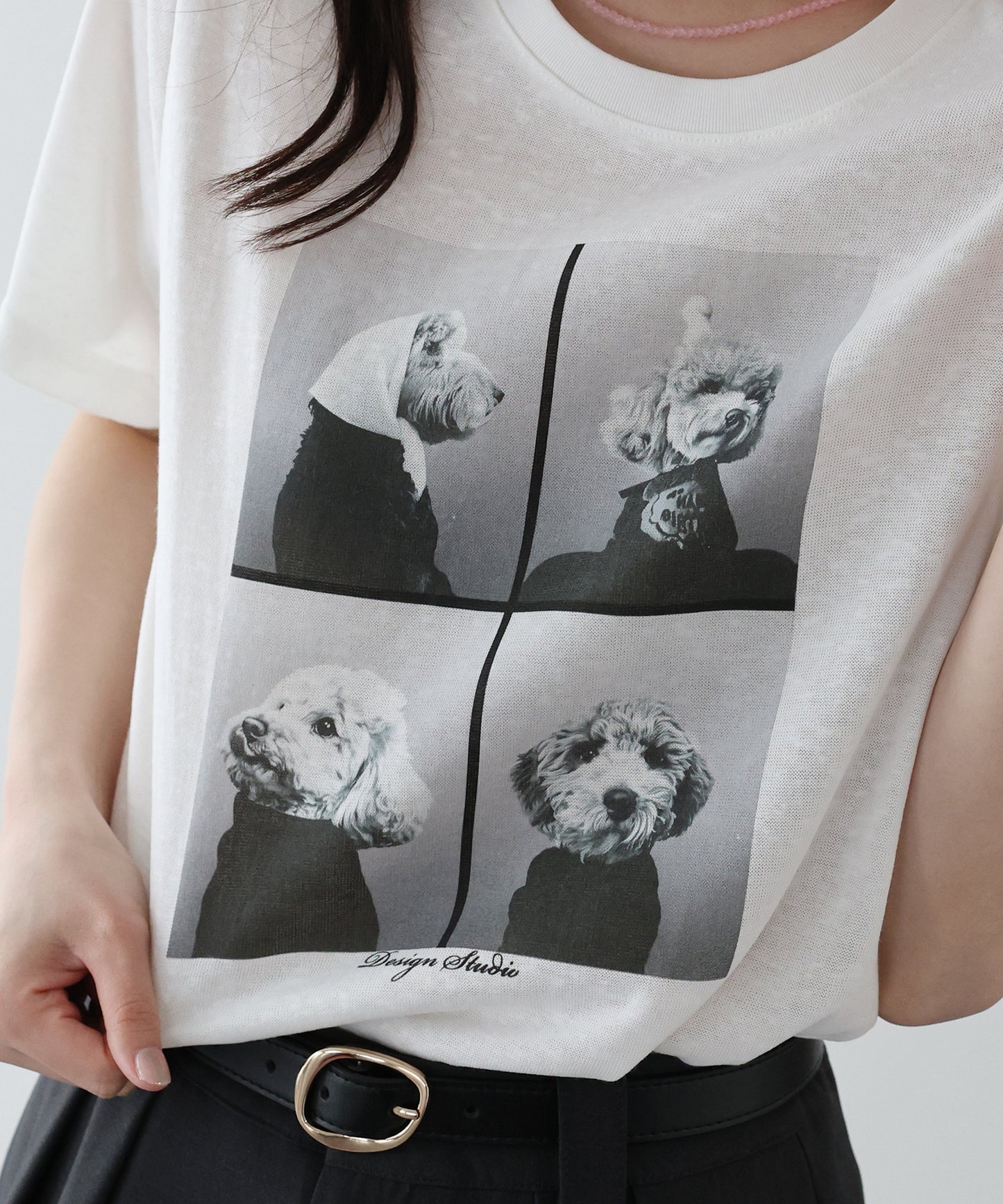 DOGフォトプリント半袖Ｔシャツ【ネコポス】