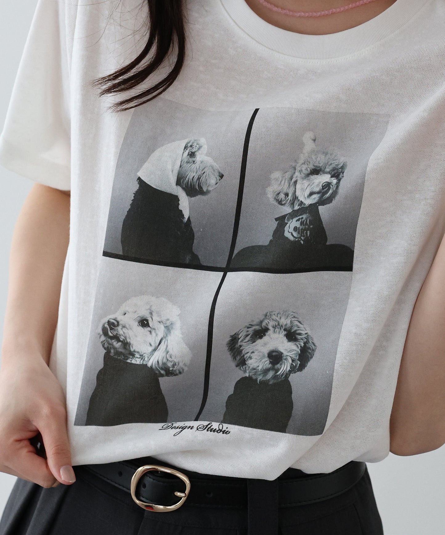 【早割5％OFF】DOGフォトプリント半袖Ｔシャツ【ネコポス】