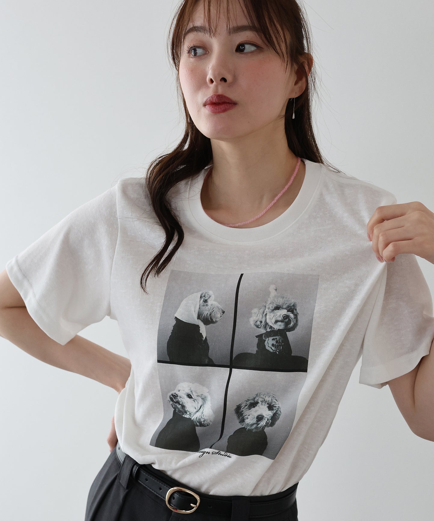 【早割5％OFF】DOGフォトプリント半袖Ｔシャツ【ネコポス】