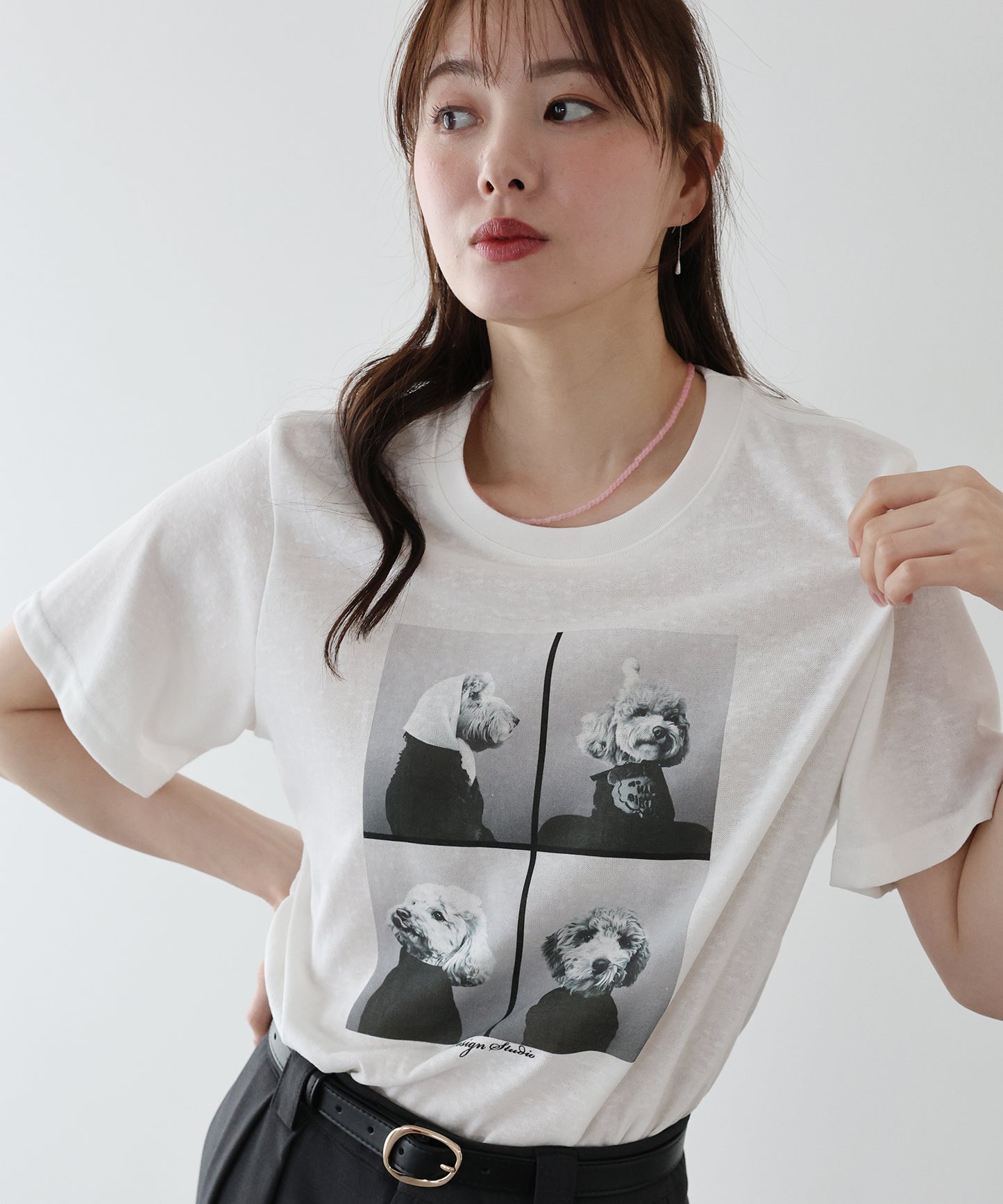 DOGフォトプリント半袖Ｔシャツ【ネコポス】